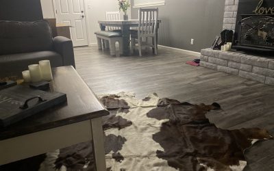 Discover Your Perfect Cowhide Furniture: 6 Key Factors to Consider!